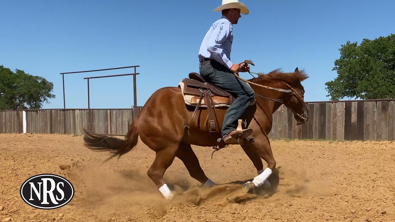 Front Support Iconoclast Orthopedic Boots for Horses