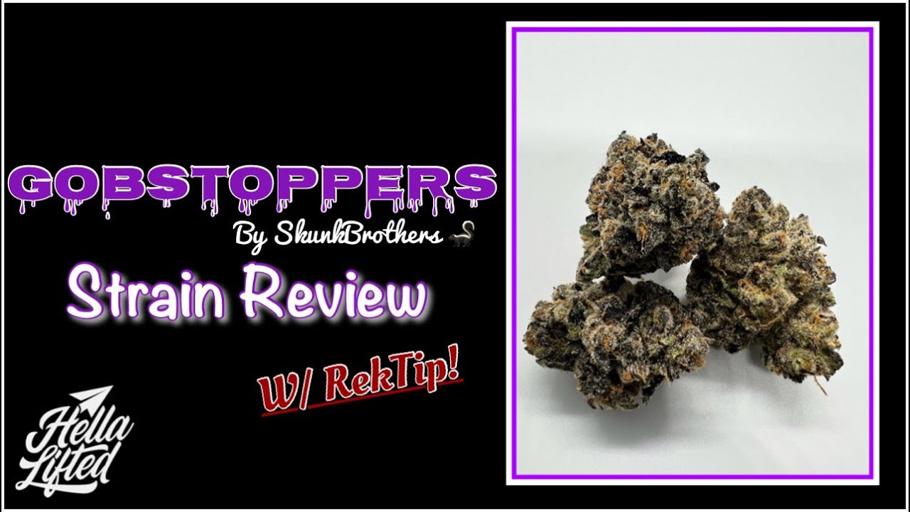 Gobstoppers Strain Review W/ RekTipz!!