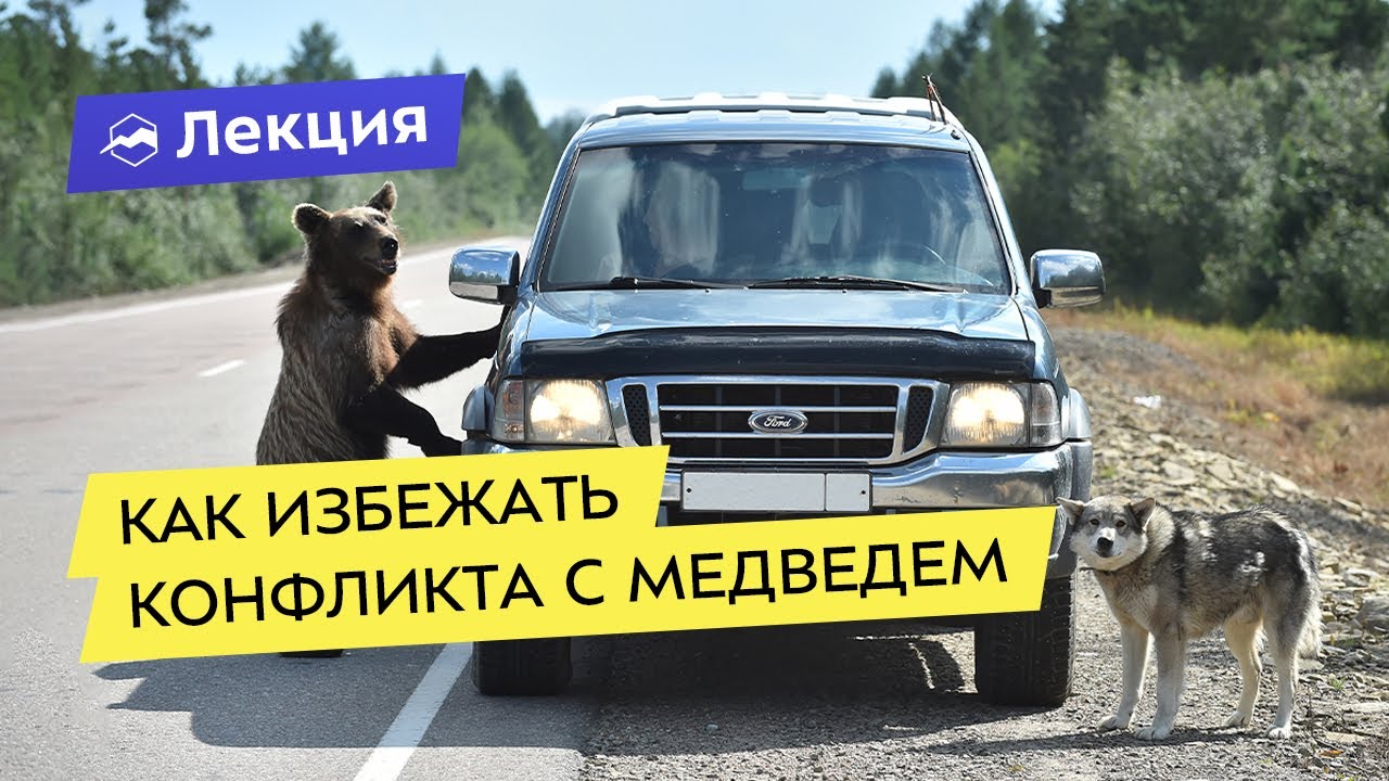 Медведь против человека/человек против медведя