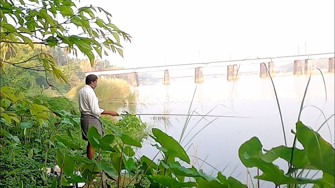കരിമീൻ പിടിക്കാൻ സിമ്പിൾ ബൈറ്റ്🦈Village fishing,karimeen fishing,traditional fishing,Kerala fishing