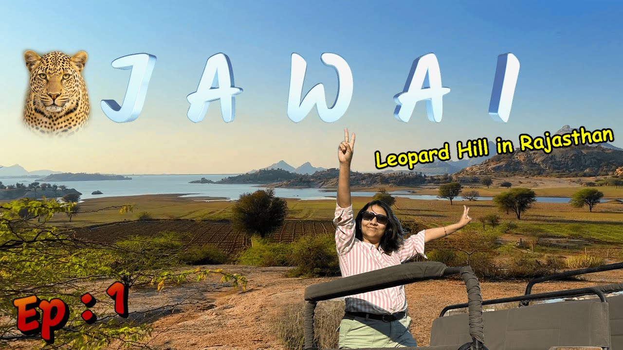 Jawai Rajasthan | Jawai Leopard Safari | Offbeat Wildlife Adventure in India | राजस्थान #hiddengems