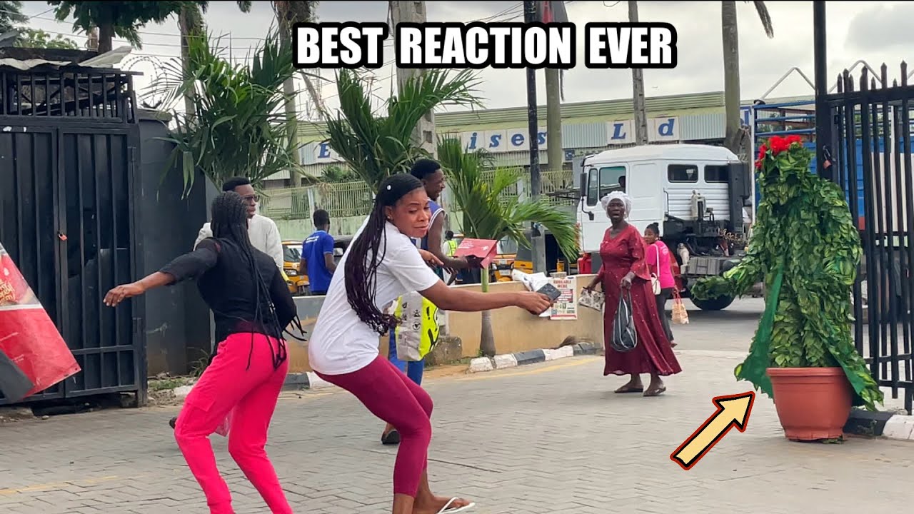Ultimate BEST of BUSHMAN Prank 2025: Most Craziest Reactions | Bushman prank 