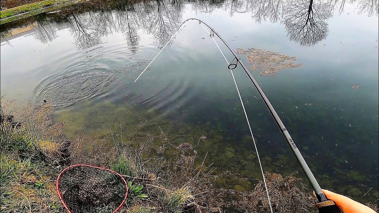 Trote di Fine Inverno / Trout Area