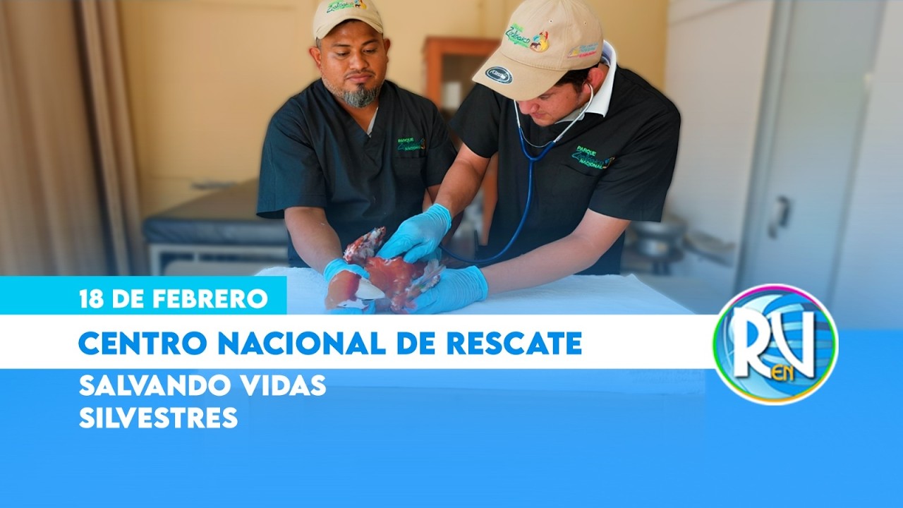 Centro Nacional de Rescate 🇳🇮: protegiendo la fauna silvestre en Nicaragua 🐆| Revista en Vivo