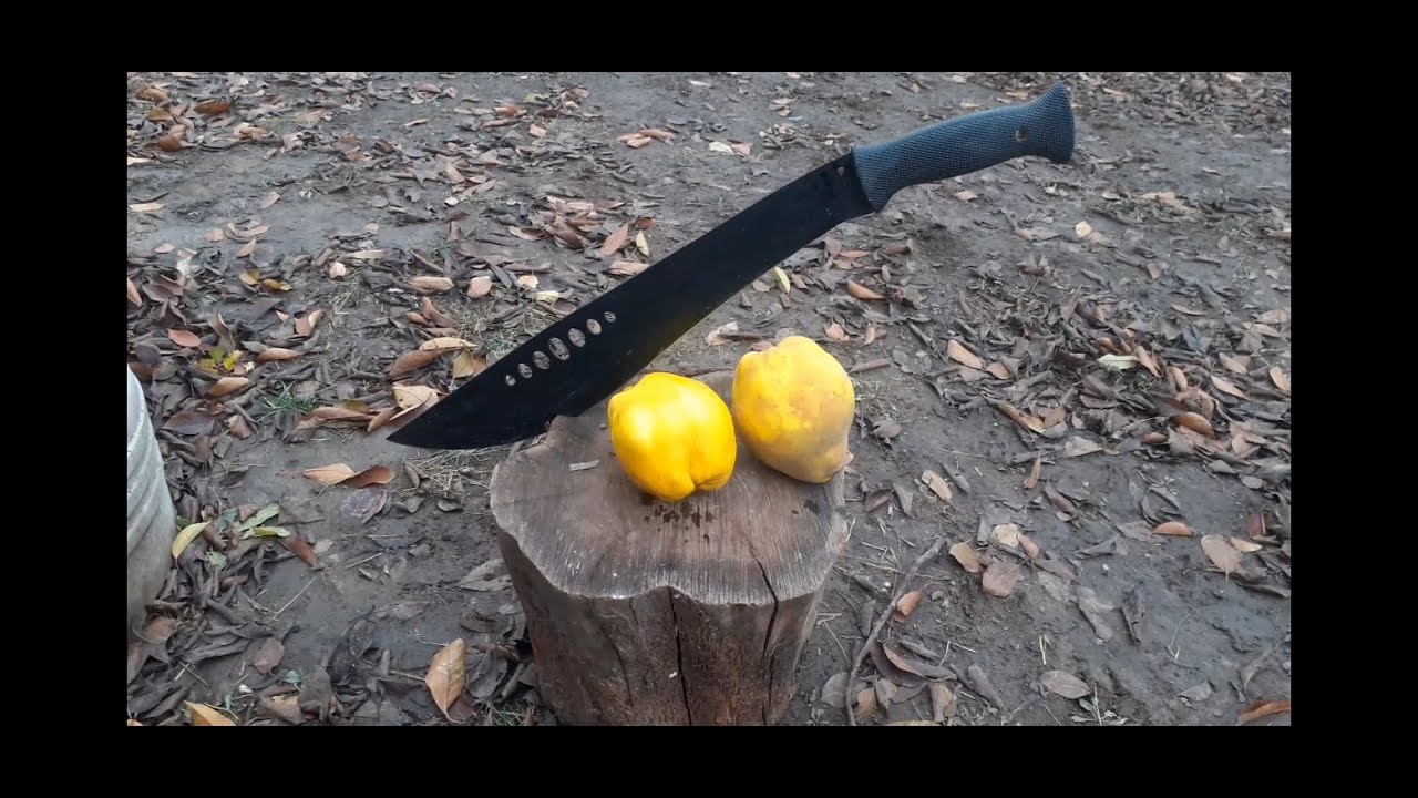 Tuica de gutui. (Experiment)