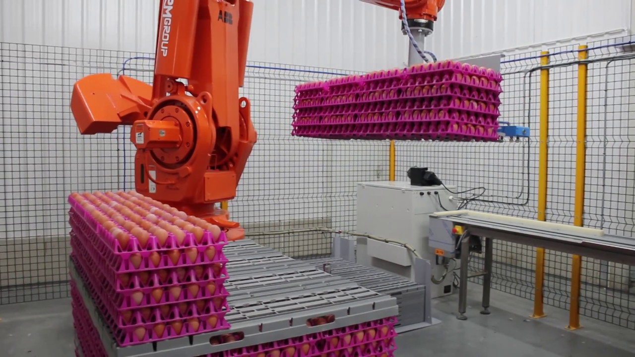 Egg Palletising Robot  | RMGroup UK