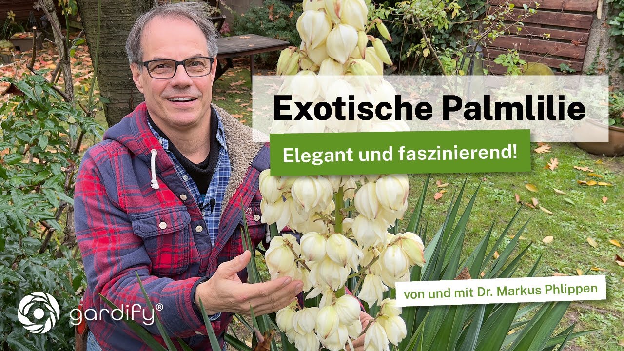 Exotische Palmlilie - Mediterrane Gartengestaltung mit Yucca aus Nordamerika