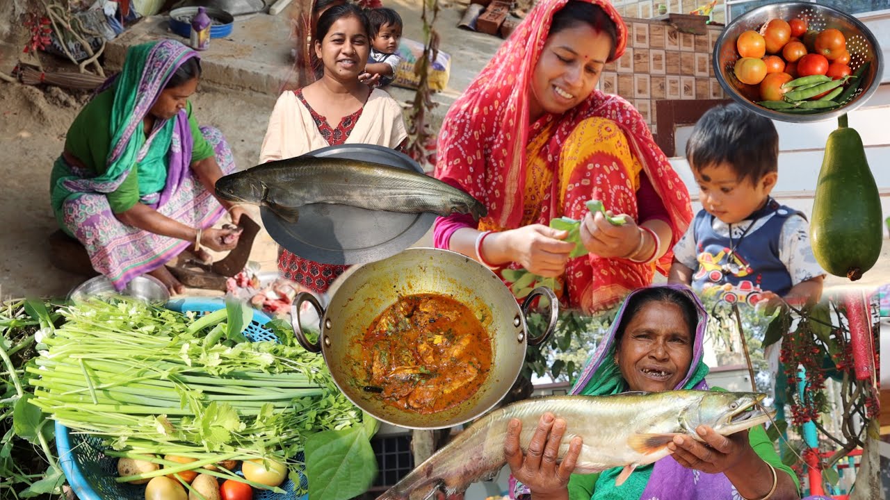 এই প্রথম আমাদের বাড়ি এত বড় বোয়াল মাছ রান্না হলো | আর ক্ষেতের থেকে কি কি সবজি তুললাম দেখুন ||