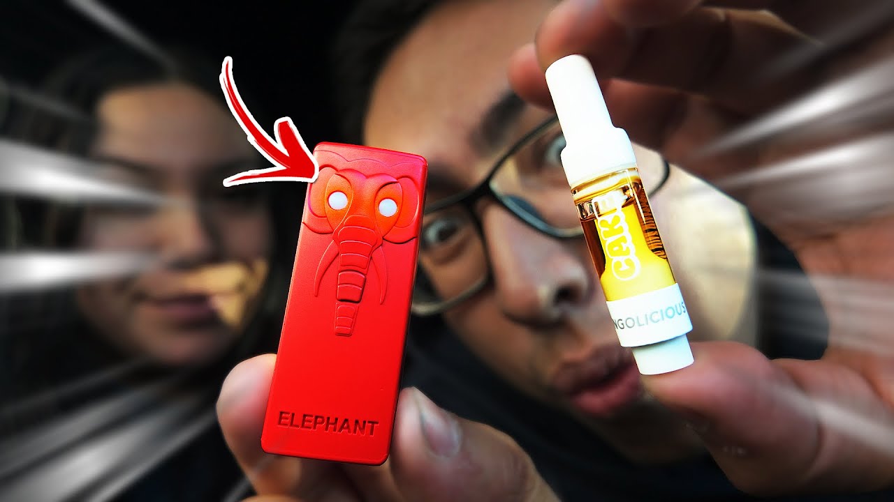 THIS YOCAN AND CAKE COMBO HAD ME SHOOK! | Cake Designer Distillate Mangolicious!
