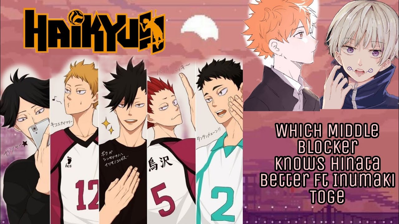Hinata Harem || Which middle blocker knows Hinata the best ||
