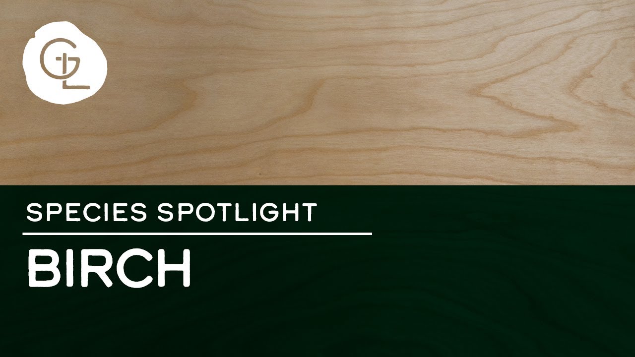 Rotary Birch Wood Veneer Sheets