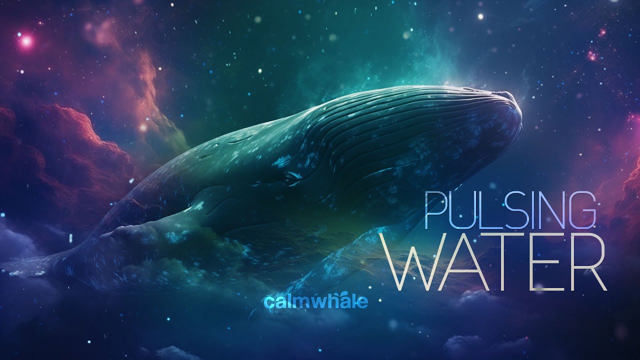 Calm Whale Seas - Water Frequencies 🌊 Shaman Drum Handpan Ambient Meditation