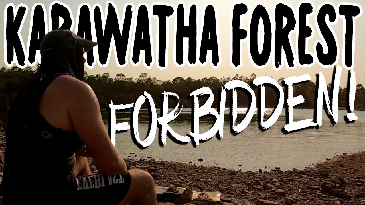 Karawatha Forest: Trailrunning Forbidden Terrain