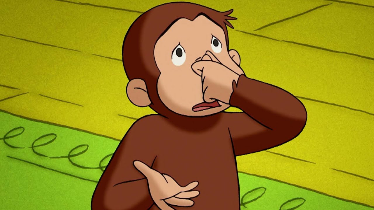 Coco freundet sich mit einem Stinktier an | Coco der Neugierige | Cartoons für Kinder