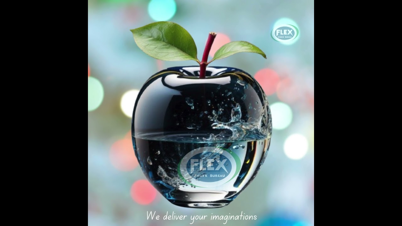We bring your imagination to life. #forexexchange