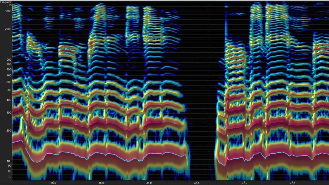 Visualized Polyphonic Overtone Flow #harmonicsinging