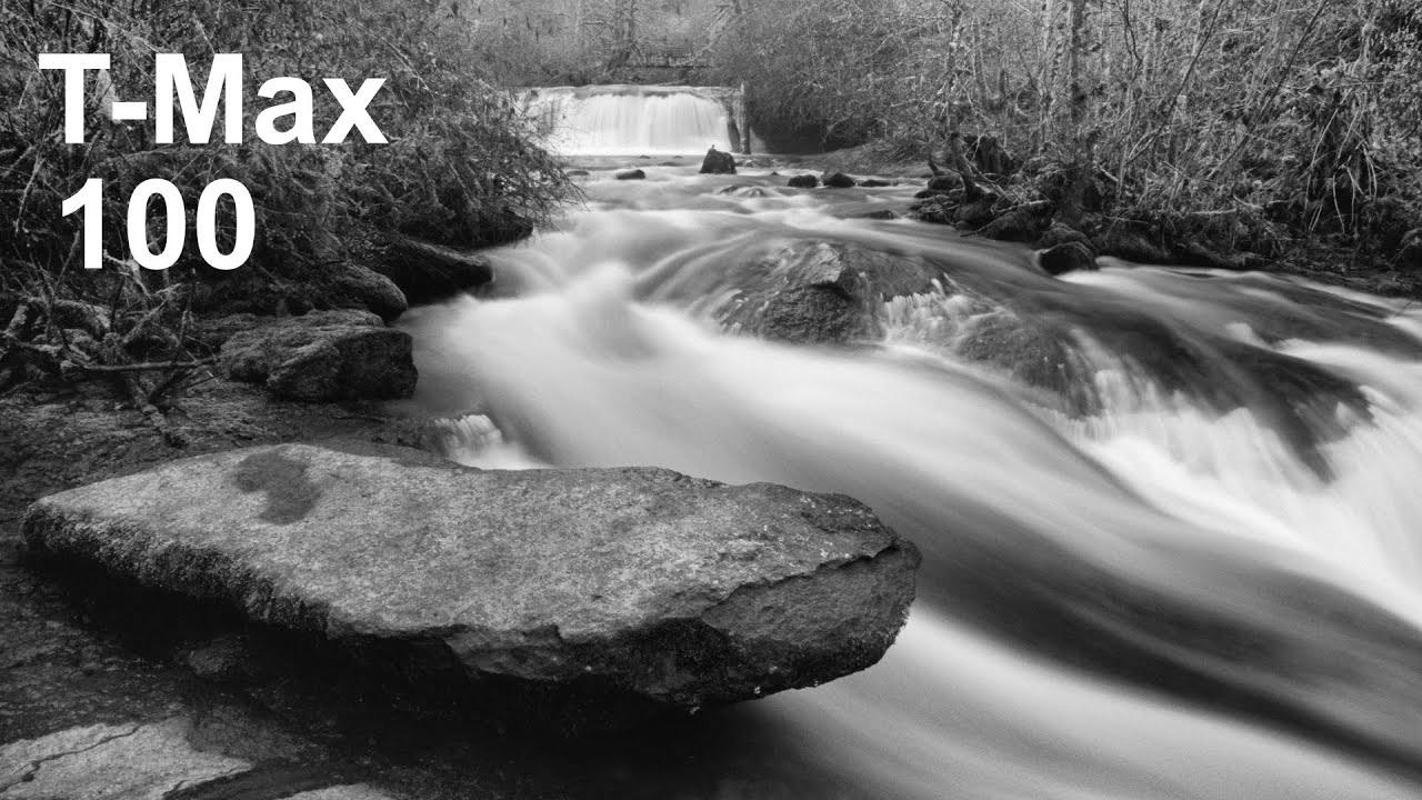 Kodak T Max 100, Another Look at This Black and White Film for 35mm Nature Photography
