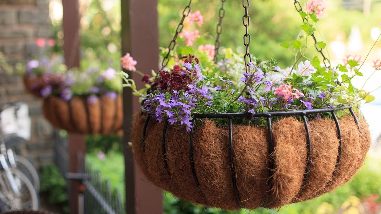 DIY Coconut Planting Pot | How to make a coconut planter