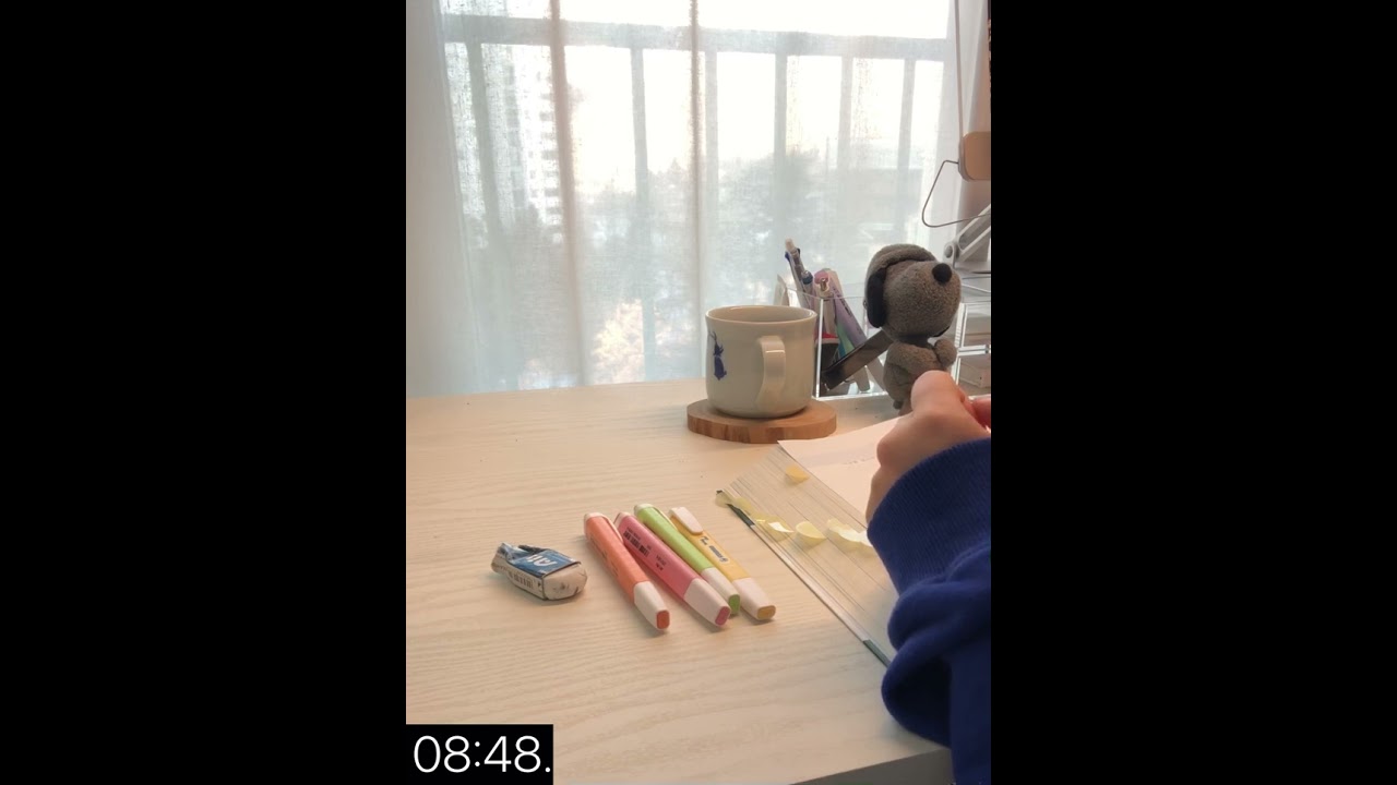 (2 Hours) STUDY WITH ME (🔥fire crackling🪵 timer⏱️) / cta study real time