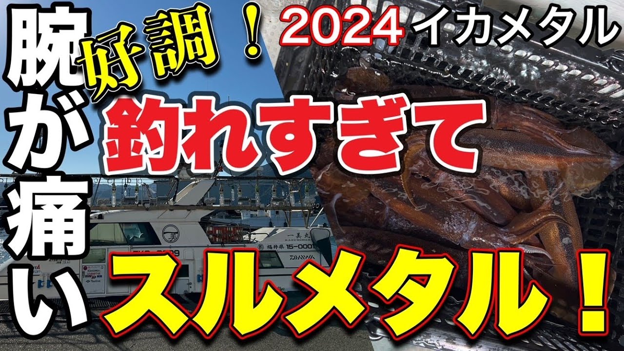 [イカメタル]腕が痛い！釣れすぎスルメタル！
