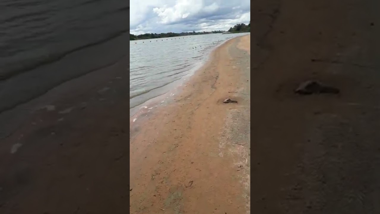 COBRA URUTU CRUZEIRO ACABOU COM A MINHA PESCARIA DE HOJE CORAC&Atilde;O BATEU NA BOCA