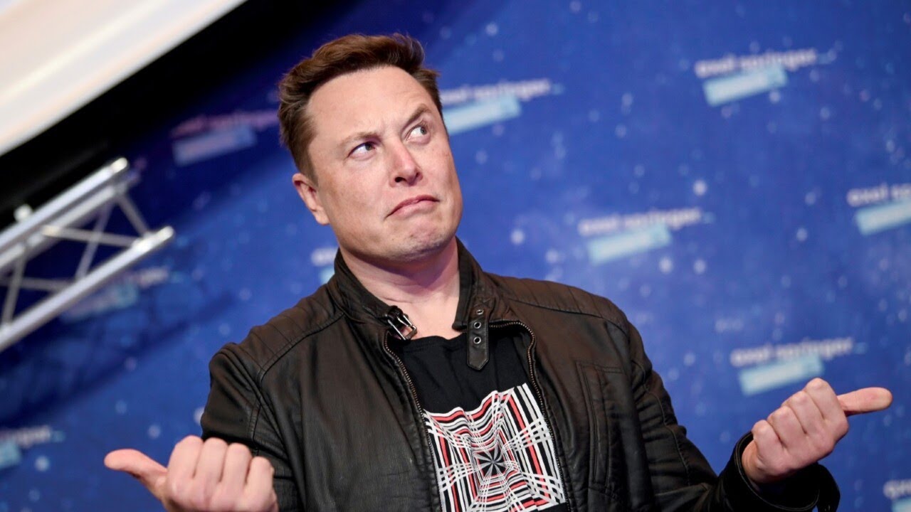 ‘Utterly pathetic’: Douglas Murray slams BBC interview with Elon Musk