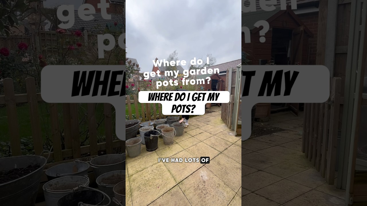 Where do I get my pots? #beginnergardener #garden #gardening #firsttimegardener #gardeningtips