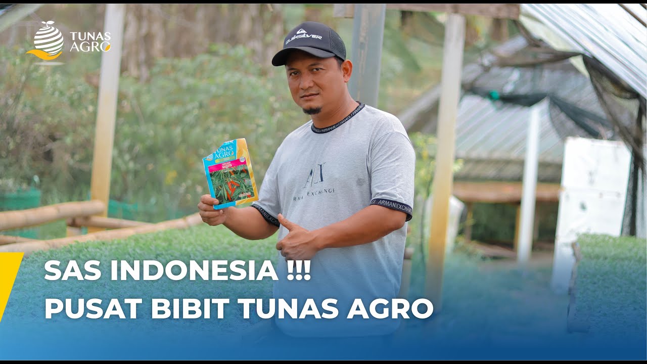 SAS INDONESIA