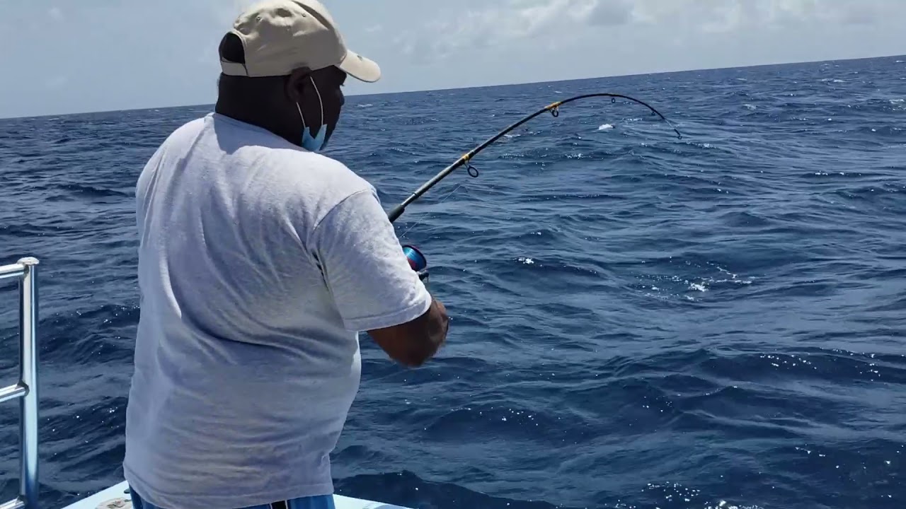Bajan Fish Prickers - DK Fisheries Part 2