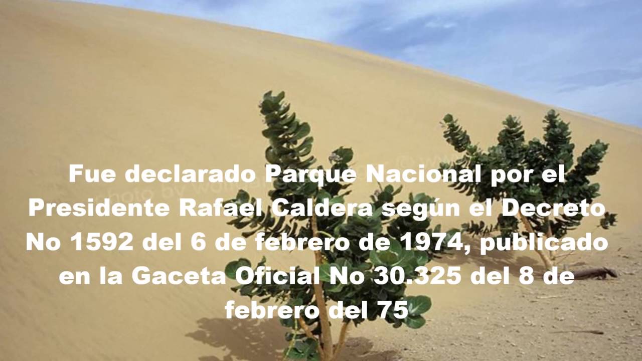 Sombra en los Médanos: Canta Simón Díaz - Johnny Díaz Apitz