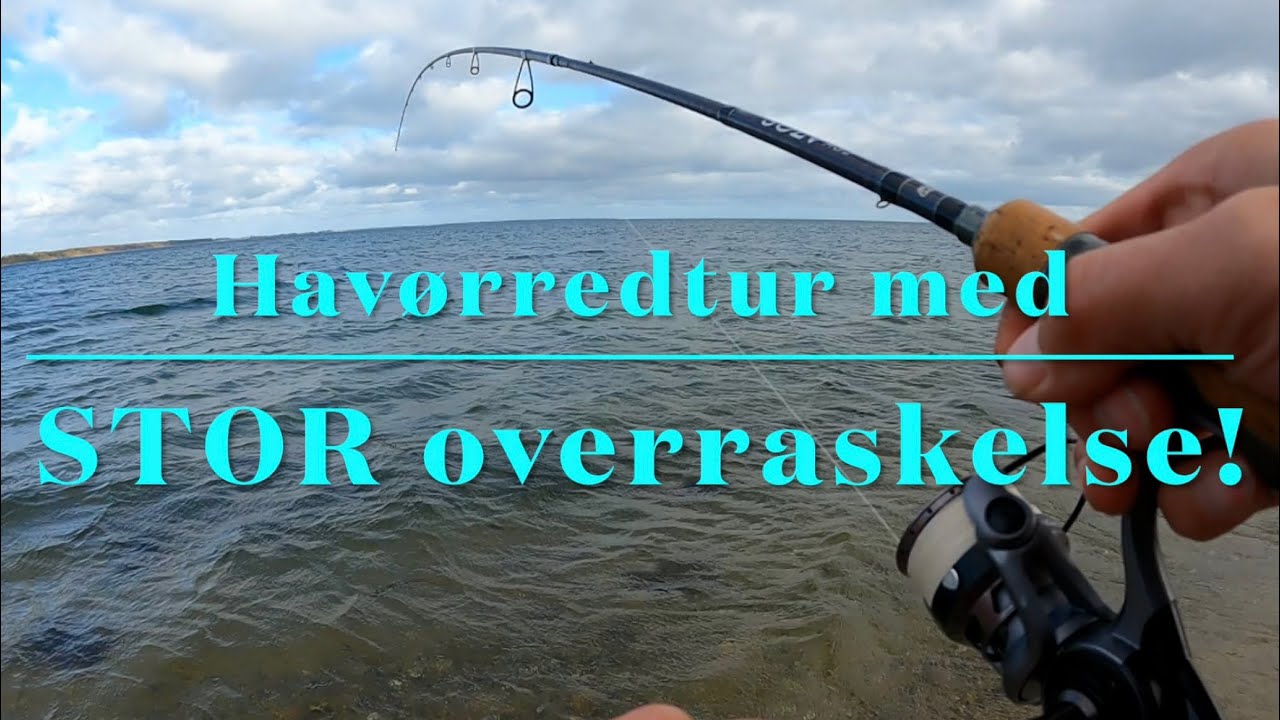 Hav&oslash;rredtur med STOR overraskelse! 