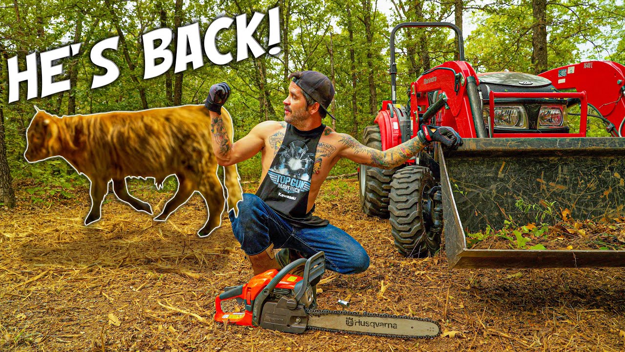 Getting NEW HOME Ready for ALL The ANIMALS! Homesteading // Ranch // Farm