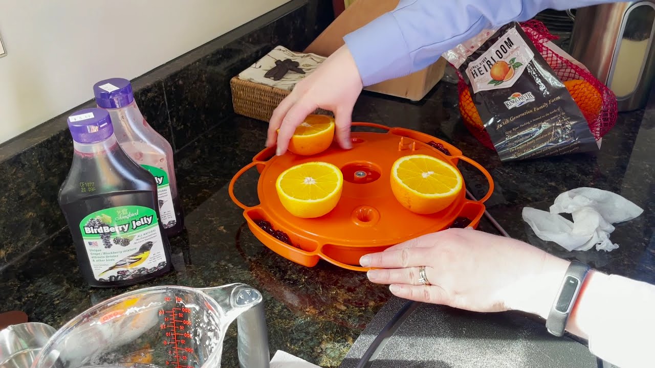 Ultimate Oriole Feeder