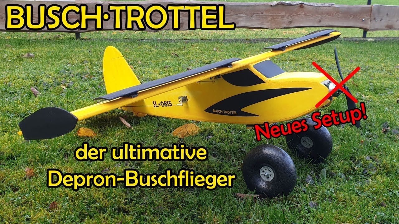 Buschtrottel die zweite