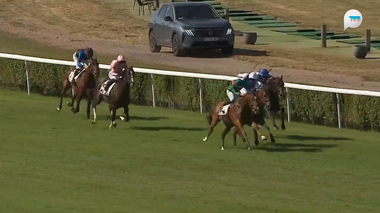 法國聖格盧大賽 Grand Prix de Saint Cloud 一級賽 G1 2400m 2025-06-29 格倫島 Calandagan 聖格盧大賽 Saint Cloud Racecours
