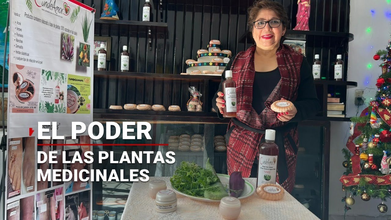 #EmprendiendoANDO | El poder de sanación de las plantas medicinales ¿Utilizas alguna?