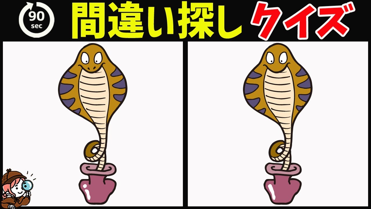 【間違い探しクイズ】無料脳トレ動画で脳が若返り！イラスト間違い探しで楽しく頭の体操【老化防止/認知症予防に最適】