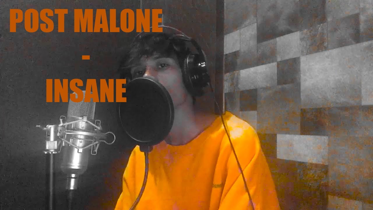 post malone - insane cover | PIGA