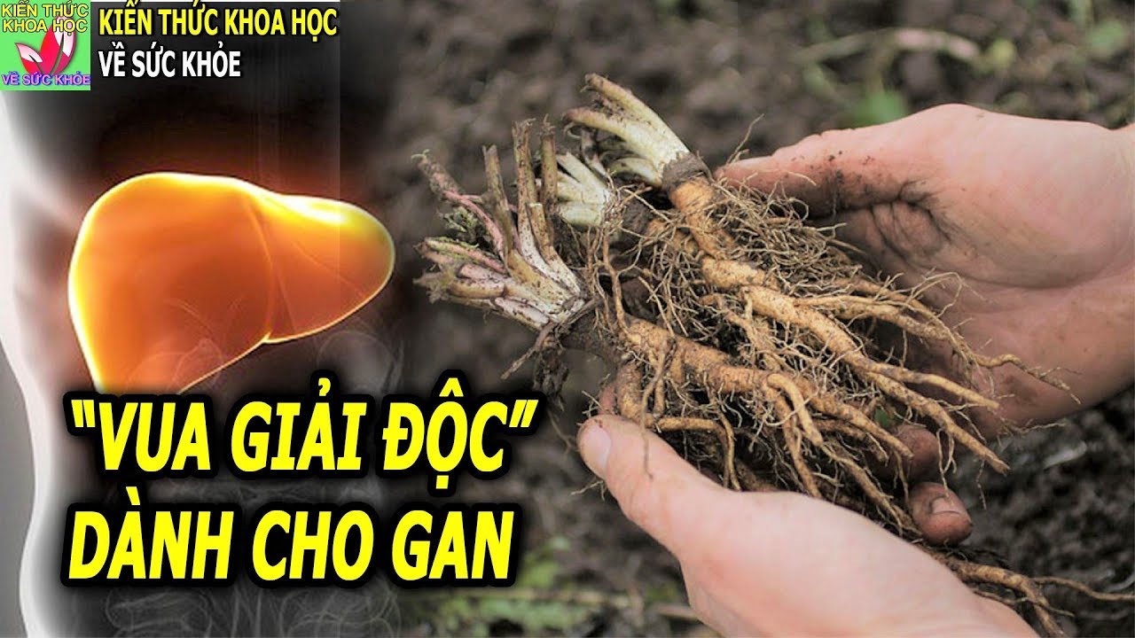 6 LOẠI THỰC PHẨM TỪ THIÊN NHIÊN ĐƯỢC COI LÀ VUA GIẢI ĐỘC DÀNH CHO GAN
