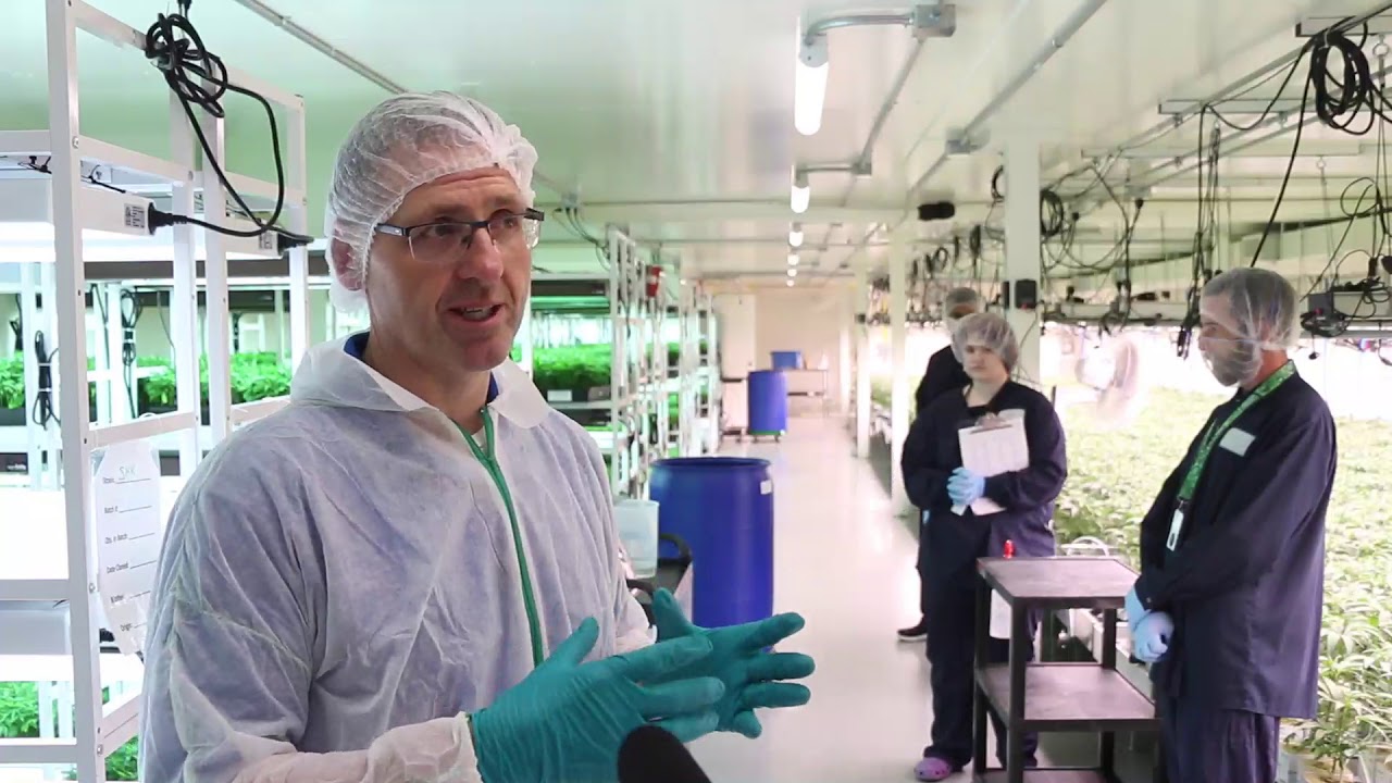 Sundial Growers brings jobs and growth in Olds