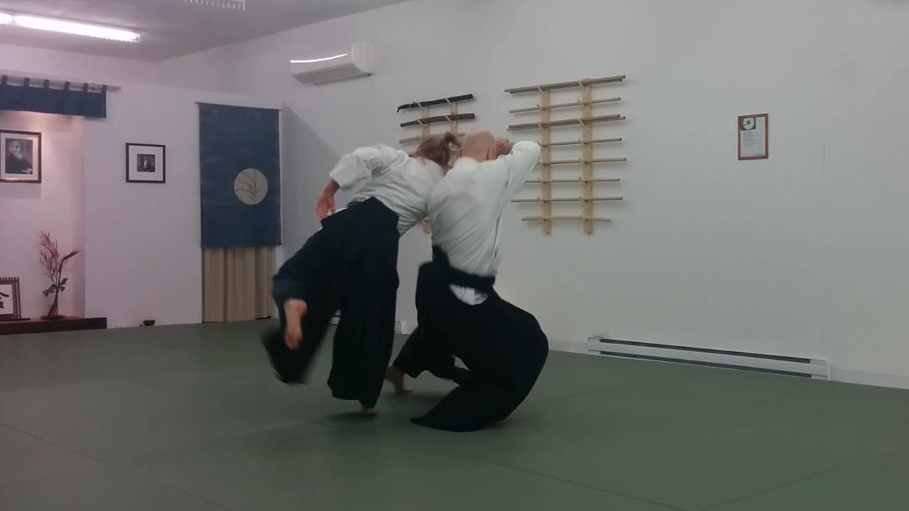 Morotetori Shihonage Aikido