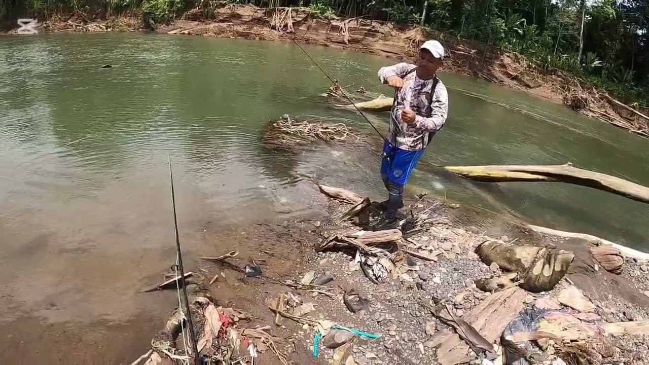 Pesca de robalo en el rio tarcoles Costa Rica 