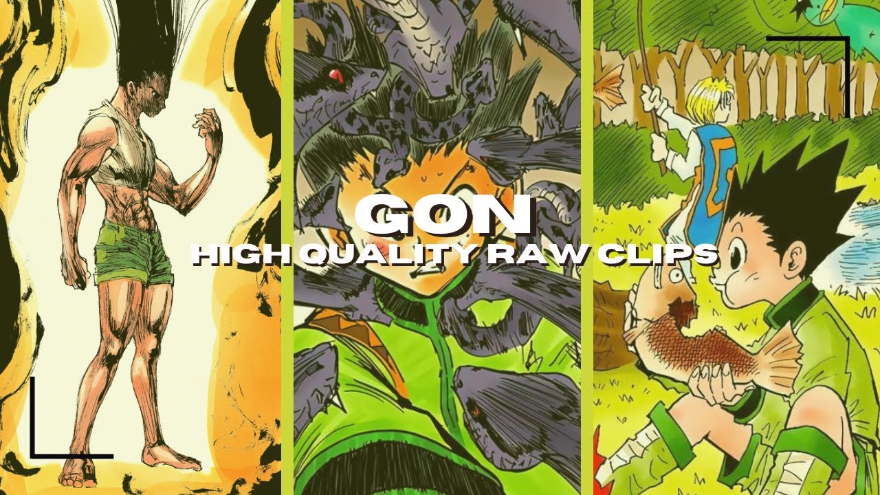 Gon Raw High Quality Clips For Editing