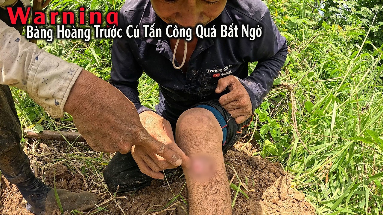 CẢNH BÁO ! Đây Là Tình Huống Rắn Độc Tấn Công Nguy Hiểm Nhất | TGSB #1163