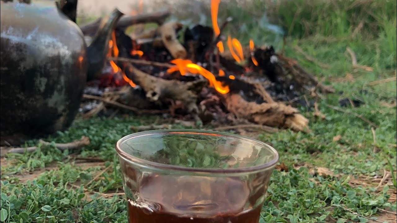 كشته روضه التنهات و الاجواء 😍