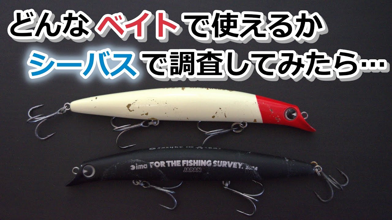 sasuke140 真裂波がどんなベイトパターンで使えるか、シーバス釣りで調査してみたら…【2024年11月3日】