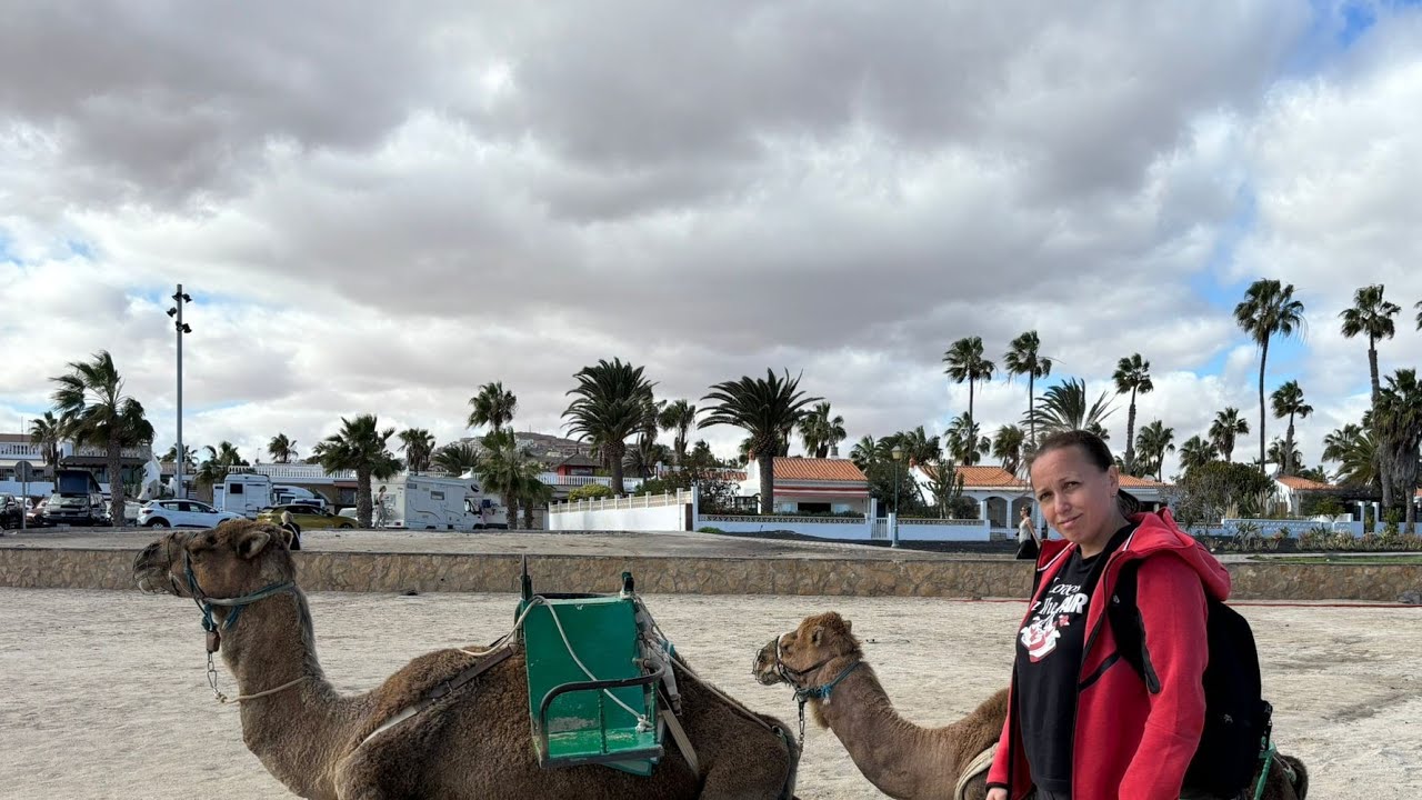 Caleta de Fuste ,Fuerteventura ,туристический городок на острове #Fuerteventura 