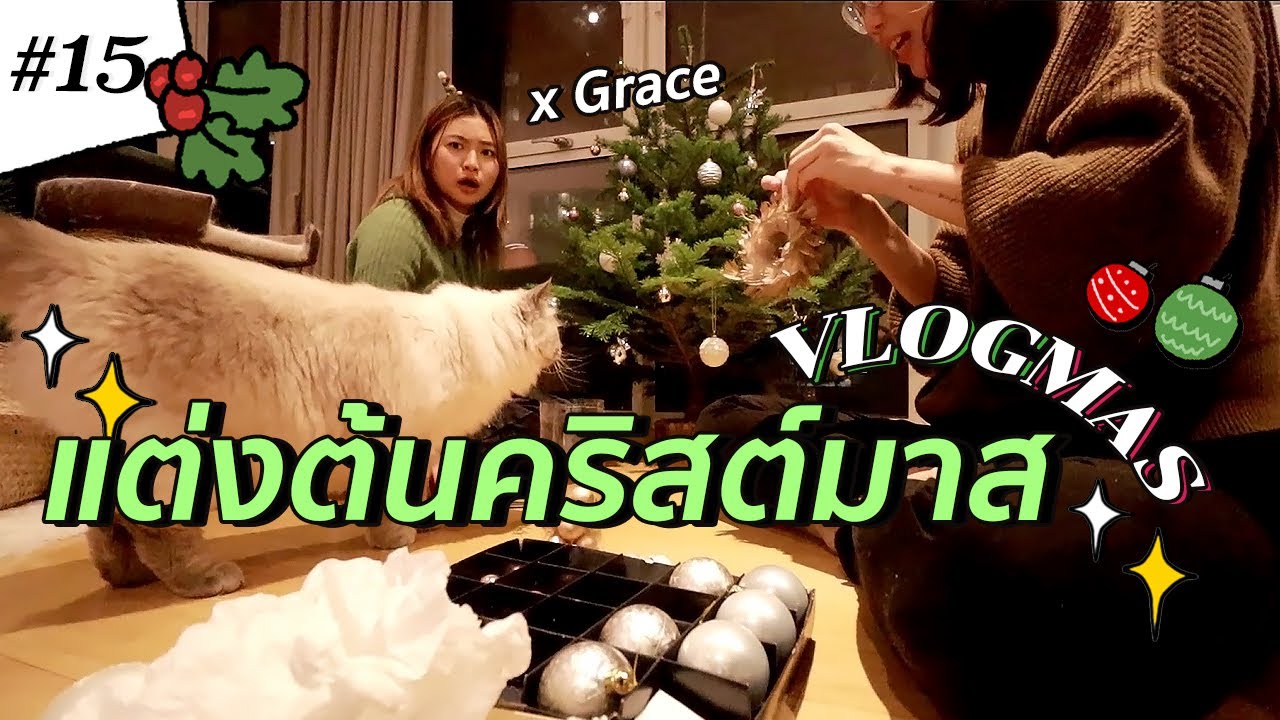 ได้เวลาแต่งต้นคริสต์มาส!! 🎄 | VLOGMAS EP15 x @gracemaneerat  #สตีเฟ่นโอปป้า