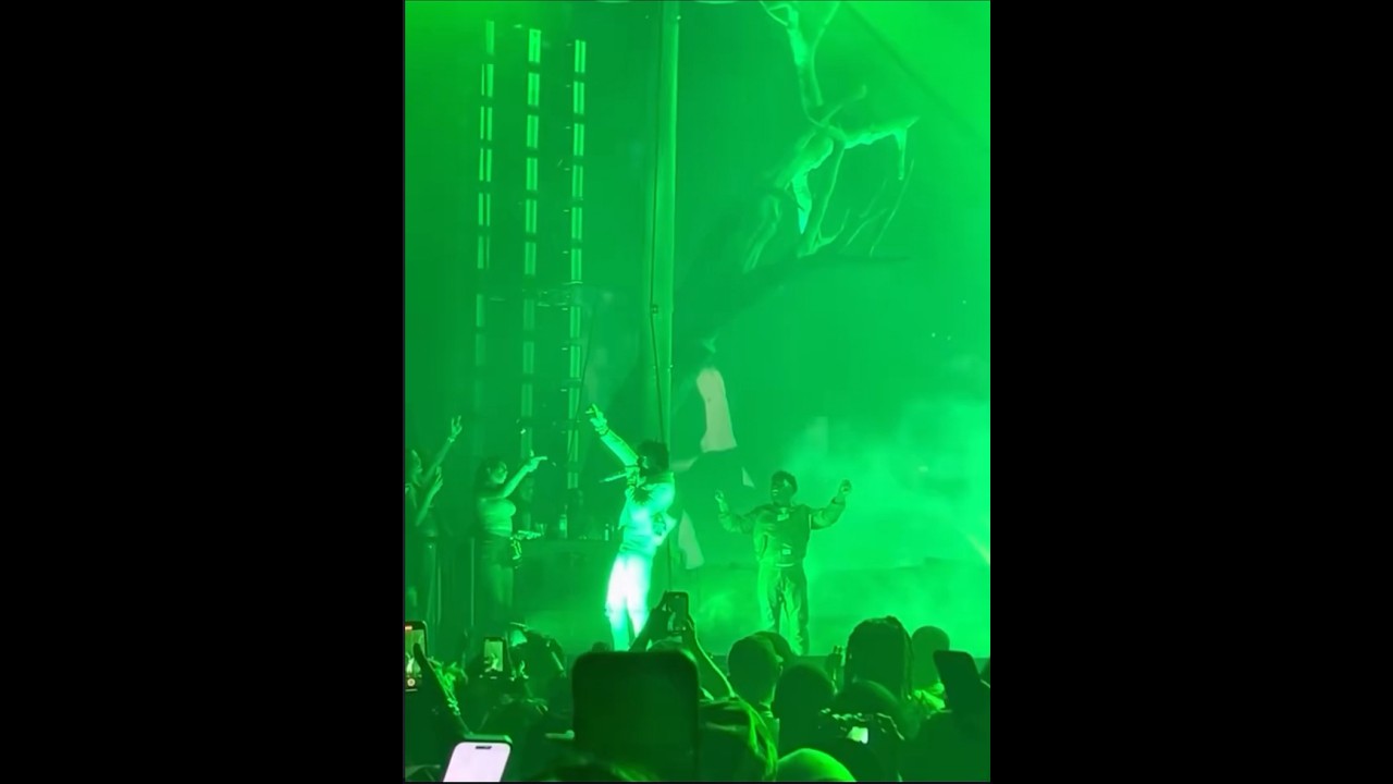 Jania Meshell “Nene” and NBA Youngboy singing “Life Support” to eachother at Houston Tx Show 