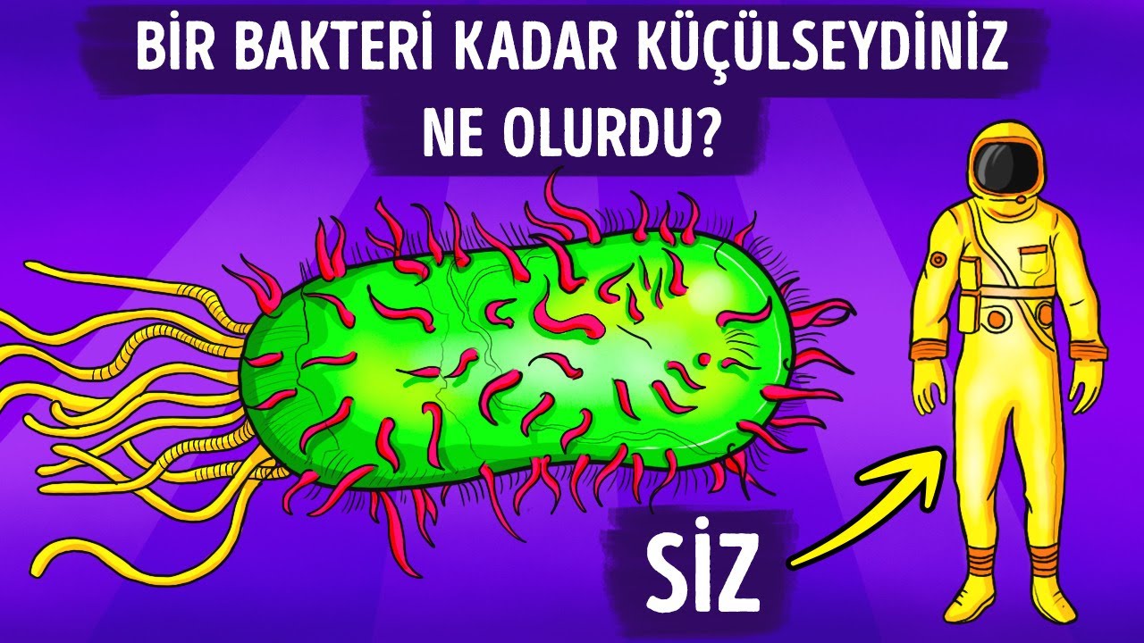 Birden Bir Bakteri Kadar Küçülseydiniz Ne Olurdu?